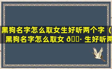 黑狗名字怎么取女生好听两个字（黑狗名字怎么取女 🕷 生好听两个字 🦄 的名字）